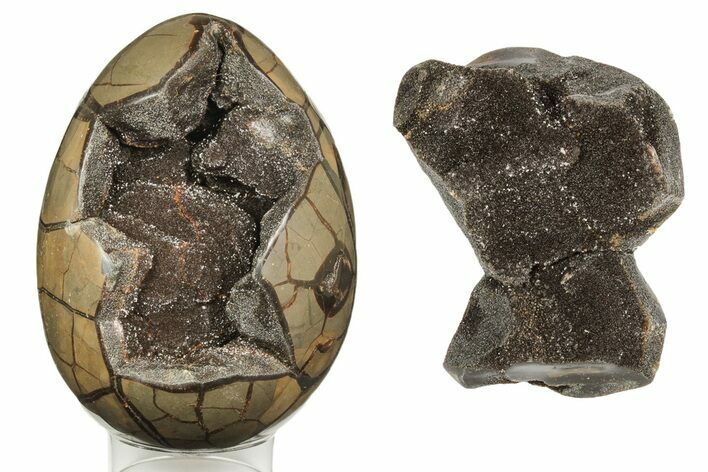 Polished Septarian Dragon Egg Geode - Black Crystals #191428